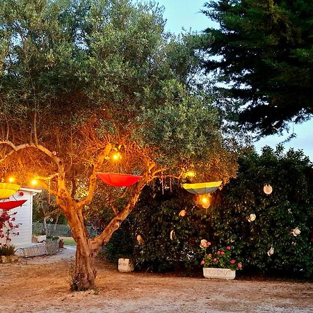 Mirella Charming Acomodação com café da manhã Alberobello Exterior foto