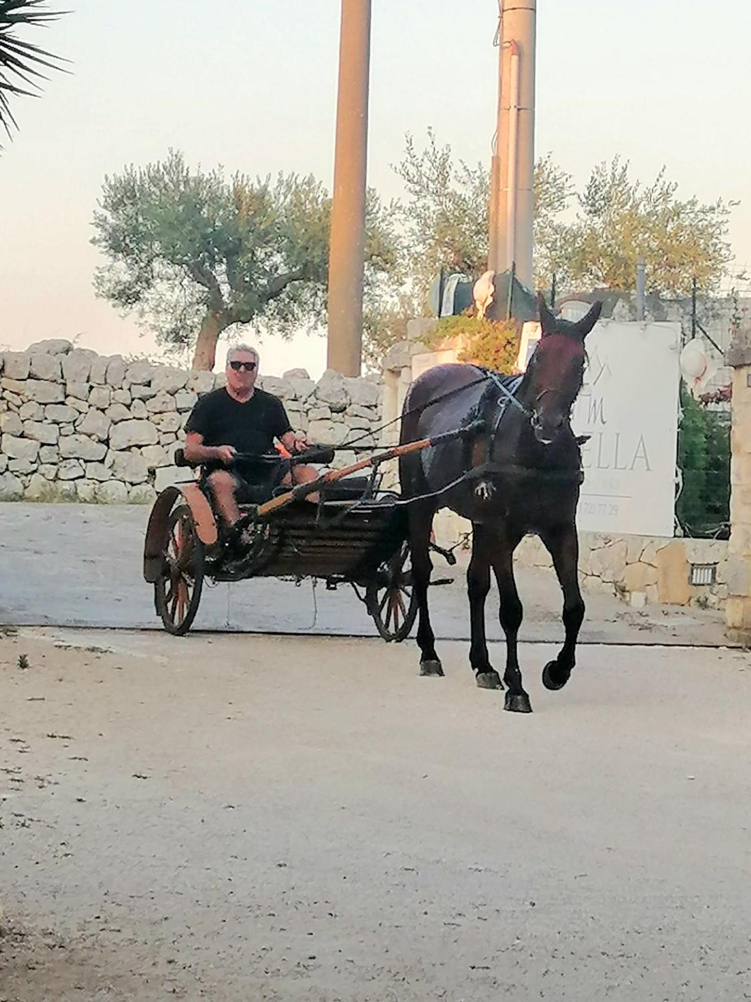 Mirella Charming Acomodação com café da manhã Alberobello Exterior foto