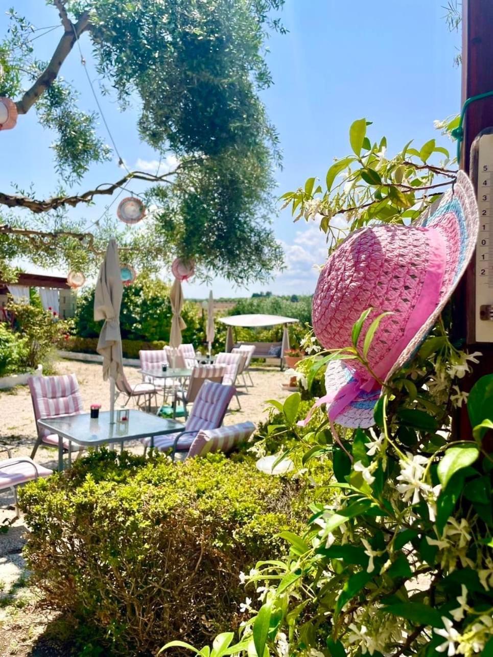 Mirella Charming Acomodação com café da manhã Alberobello Exterior foto