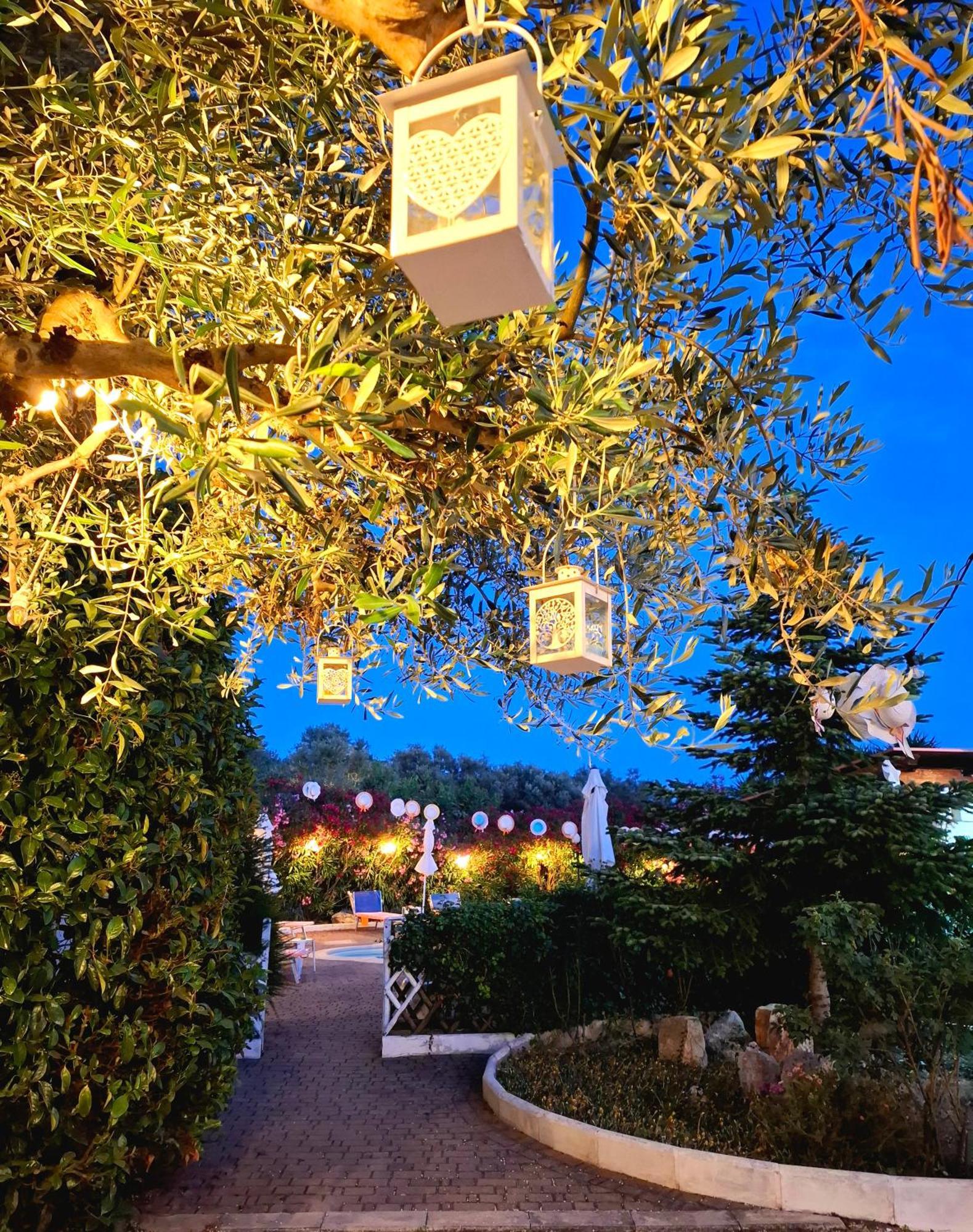 Mirella Charming Acomodação com café da manhã Alberobello Exterior foto