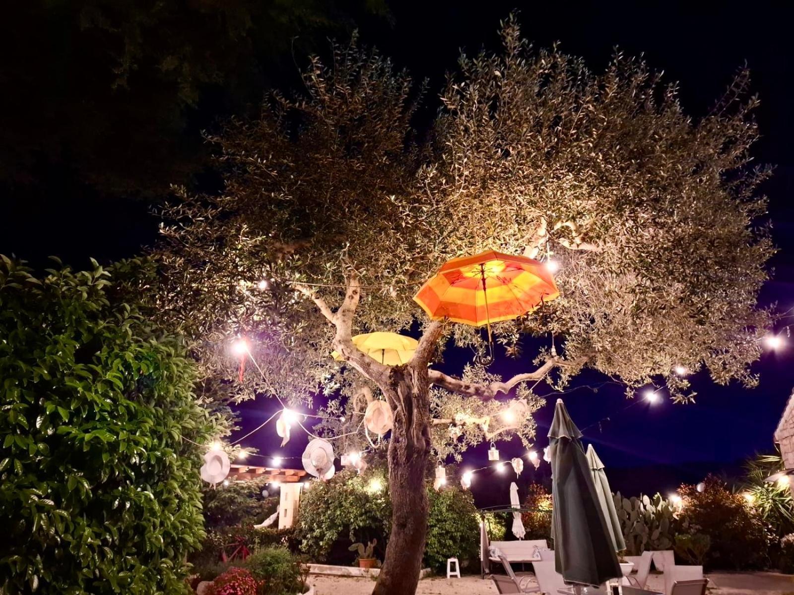 Mirella Charming Acomodação com café da manhã Alberobello Exterior foto